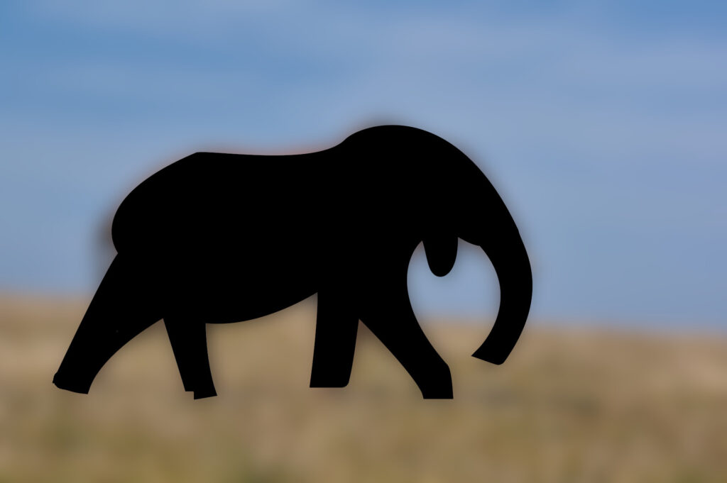 Elefant Form
