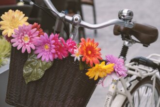 fahrradkorb-vorne-kind