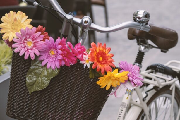 fahrradkorb-vorne-kind