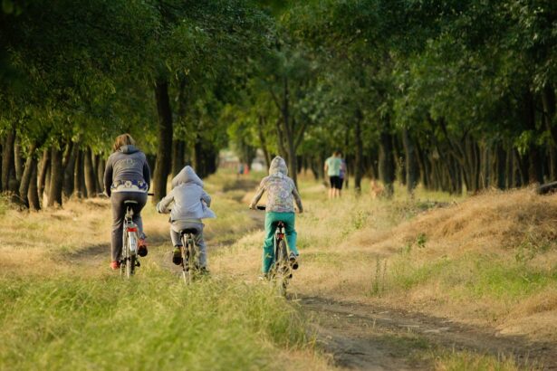 family, vacation, kids, forest, sports, bicycle, well-being, harmony, warmly, family vacation, love, beauty, nature, day, grass