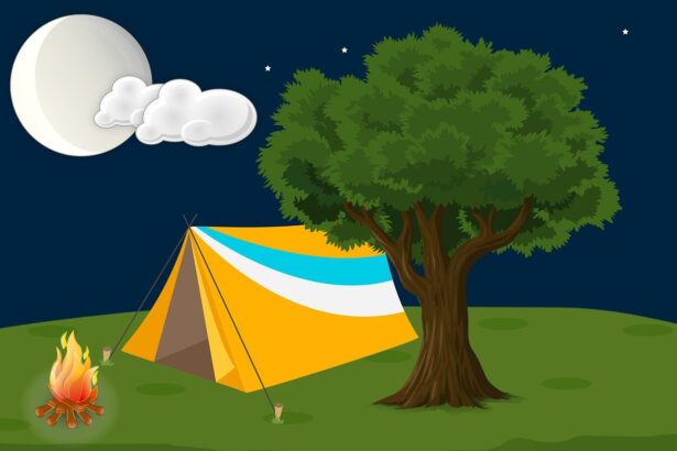 forest, camp, tree, grass, vacation, night, moon, outdoor, natural, nature, park, season, sky, night sky, summer, camp fire, travel, camping, journey, rest, trip, relaxation, green