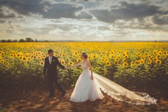 wedding, couple, sunflower field, marriage, holding hands, bride and groom, bride, field, lovers, romantic, groom, landscape, love, outdoors, people, romance, sunflowers, veil, wedding, wedding, wedding, wedding, wedding, marriage, lovers